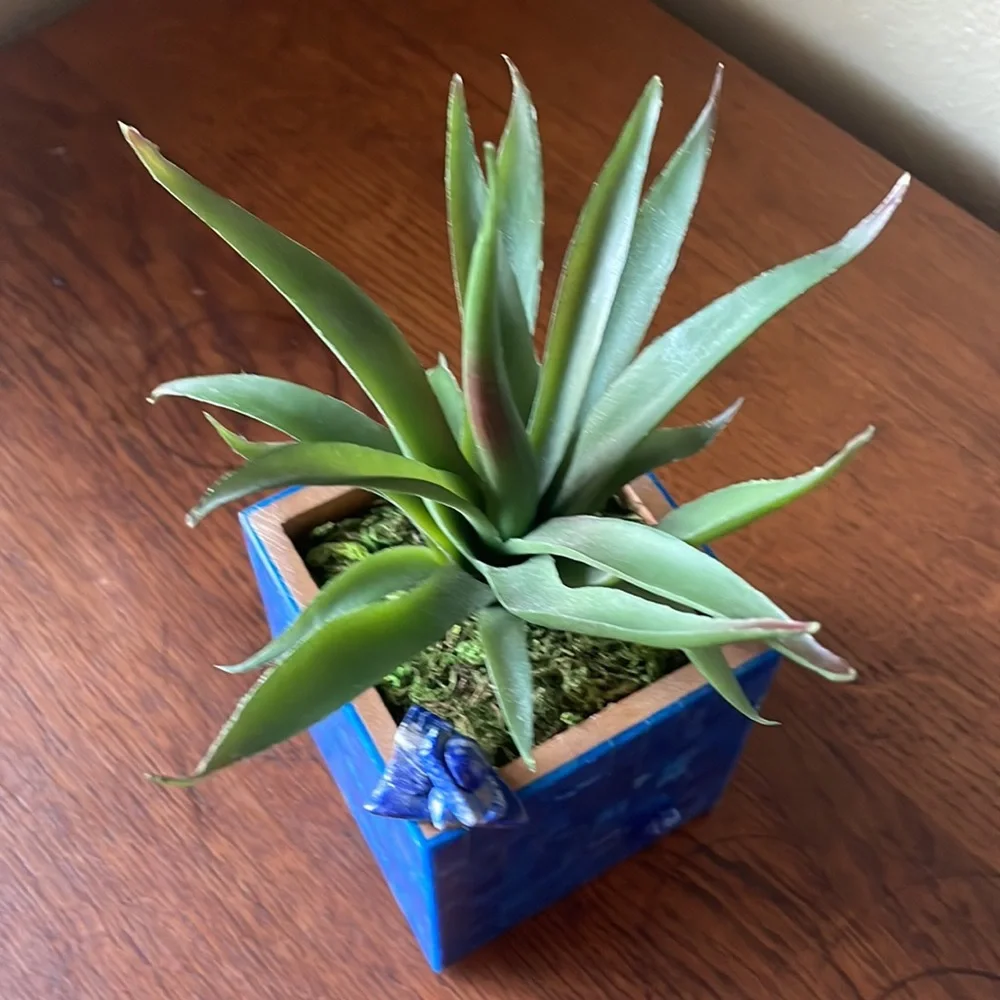 Faux succulent in deep blue dyed shell mosaic cube.